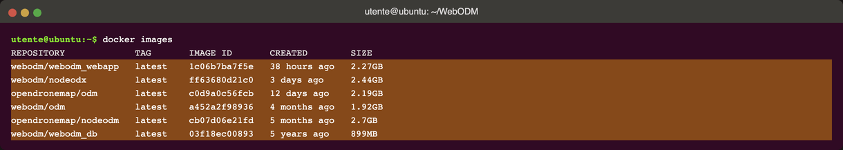 Output di docker images con i due namespace evidenziati e i tag in colonna