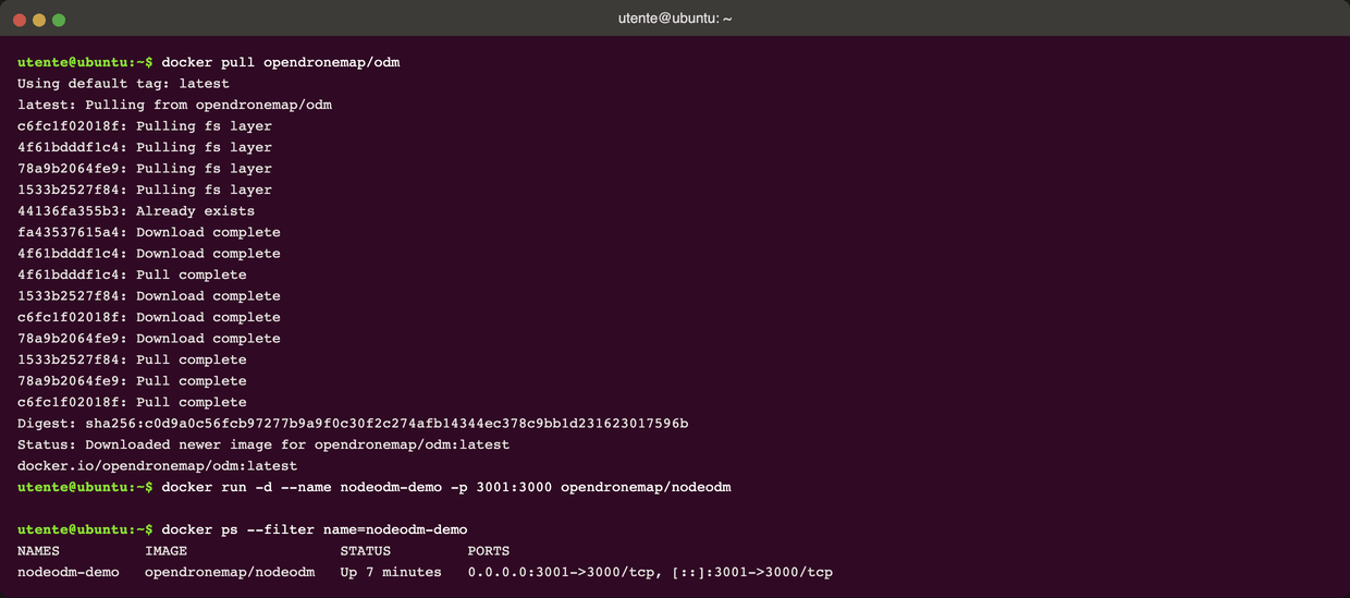 Terminale Ubuntu con l'output di docker pull opendronemap/odm e l'avvio di NodeODM