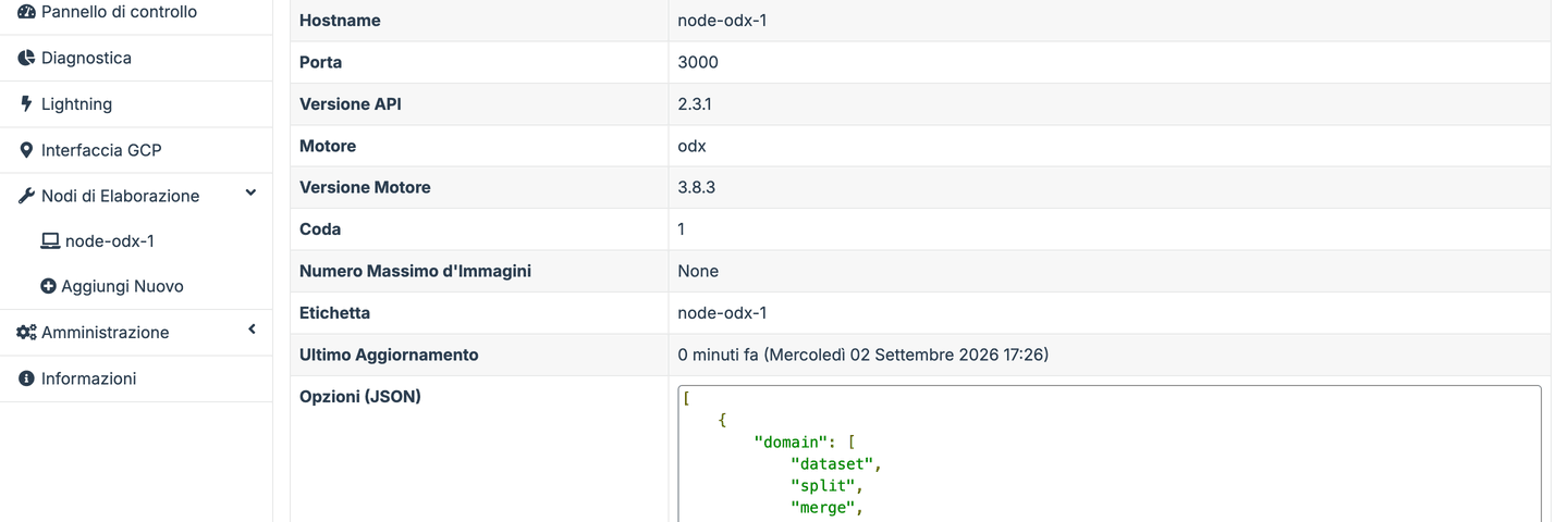 Menu Processing Nodes di WebODM con il nodo locale predefinito online