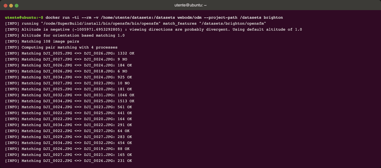 Terminale con il log di ODM durante la fase di matching delle feature